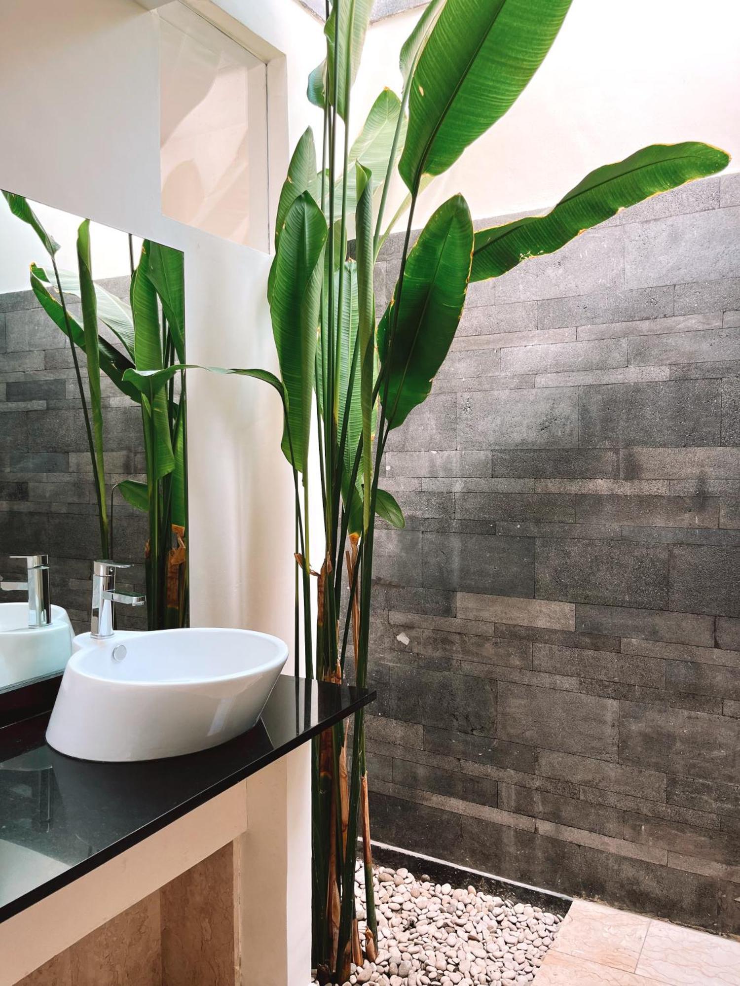 Aster Villa Seminyak Kültér fotó